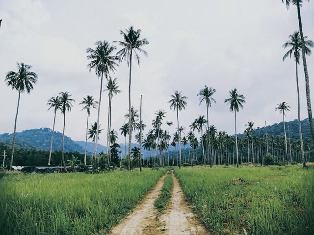 ไปค่ะ ....ไปพัก Escape Life Koh Kood 