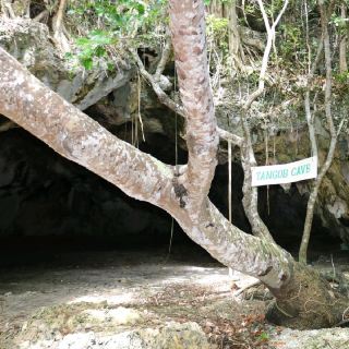 Незабываемый тур