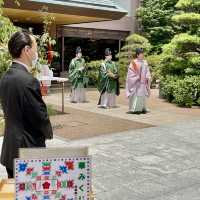 東京大神宮の神前式