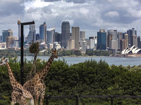 WILD LIFE Sydney Zoo