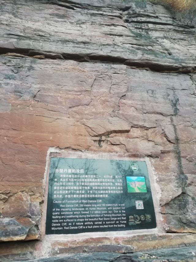 홍석협