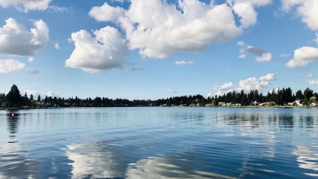 Pygoya's Rain Forest Gardens