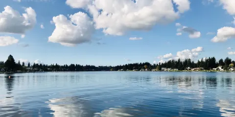 Pygoya's Rain Forest Gardens