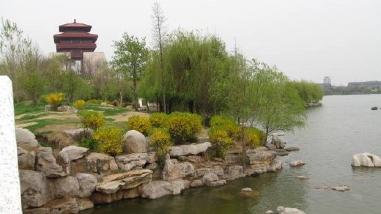 枣庄东湖公园（全民健身中心）占地总面积980余亩，其中水面5