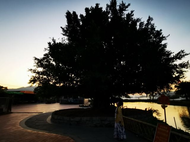 Daimei Village