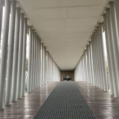 逸林軒中餐廳(中信泰富朱家角錦江酒店)張用戶圖片