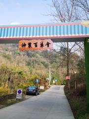 Outdoor Hiking Trail, Lion Mountain