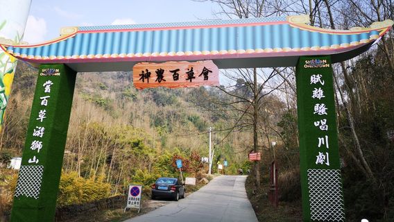 Outdoor Hiking Trail, Lion Mountain