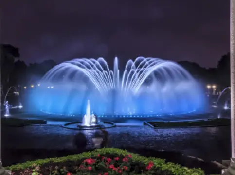 Magic Water Circuit of the Reserve Park