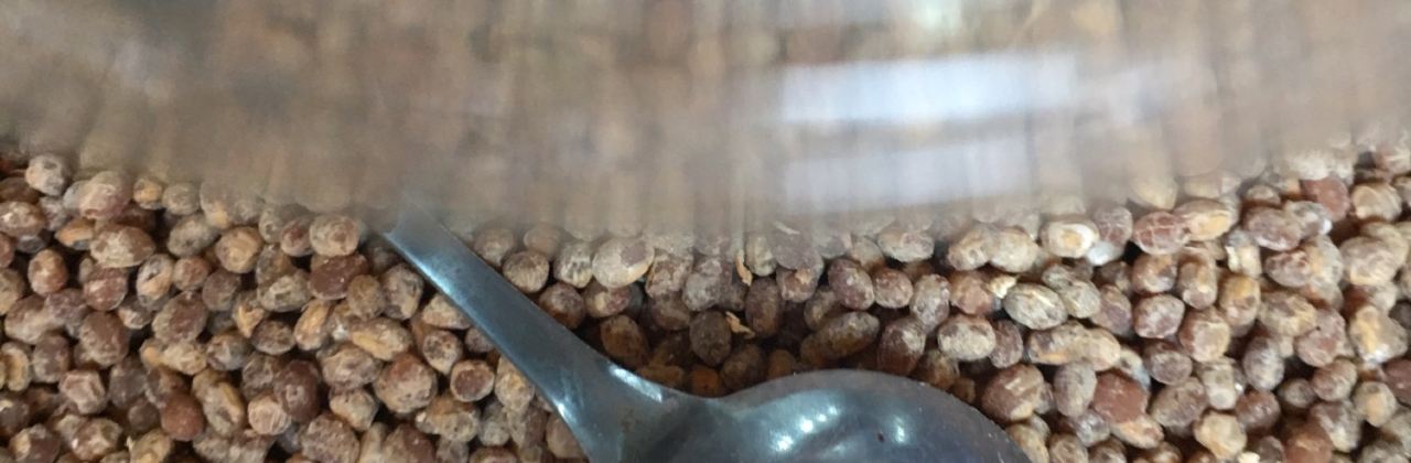 熊记太婆豆豉(黄龙溪总店)