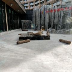 太湖龙之梦雅仕酒店·ADD全日制餐厅 User Photo