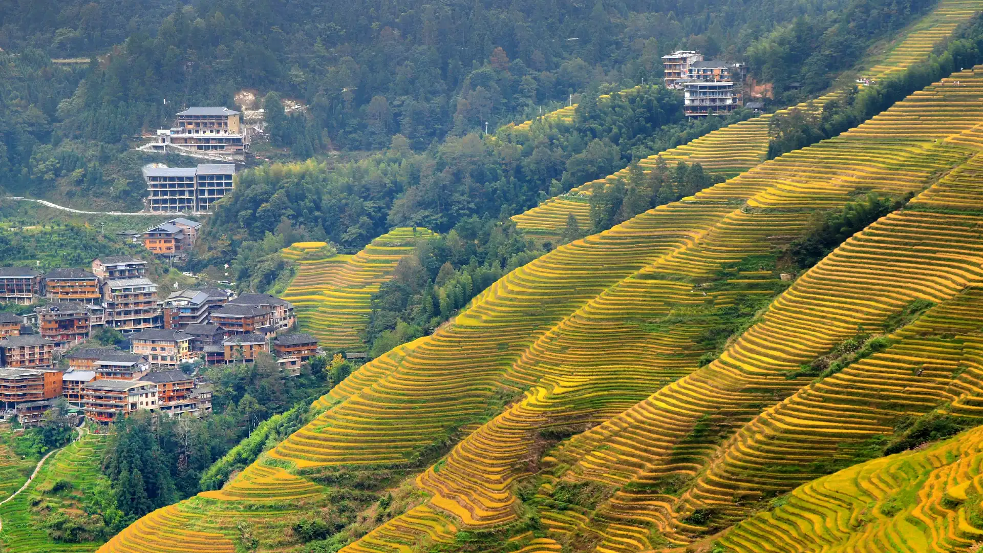 Hotels near Golden Buddha Peak View Point