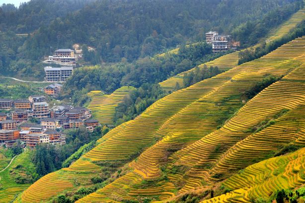 Golden Buddha Peak