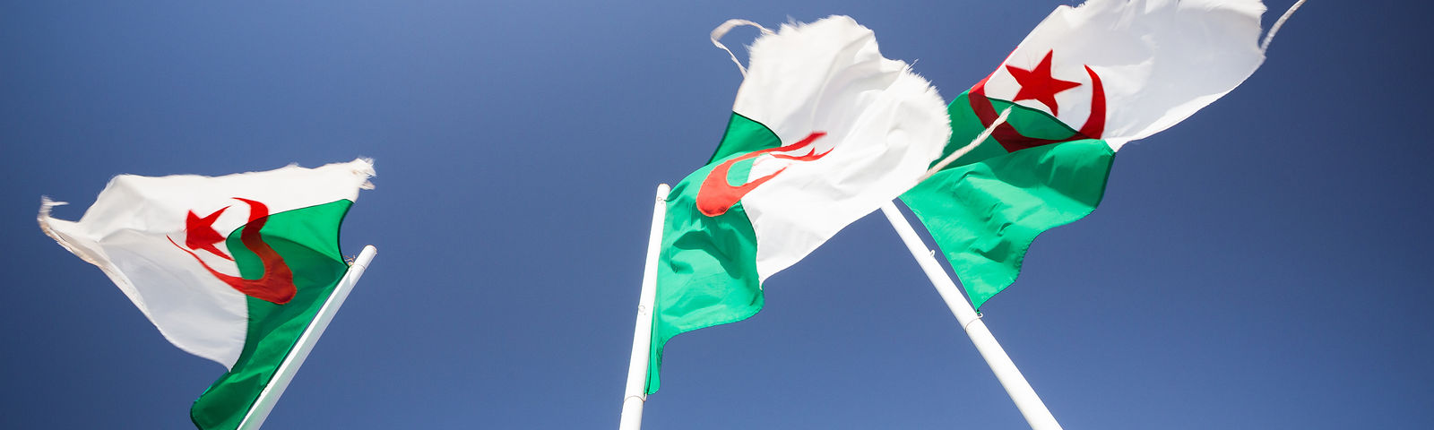 알제리SIM카드/데이터