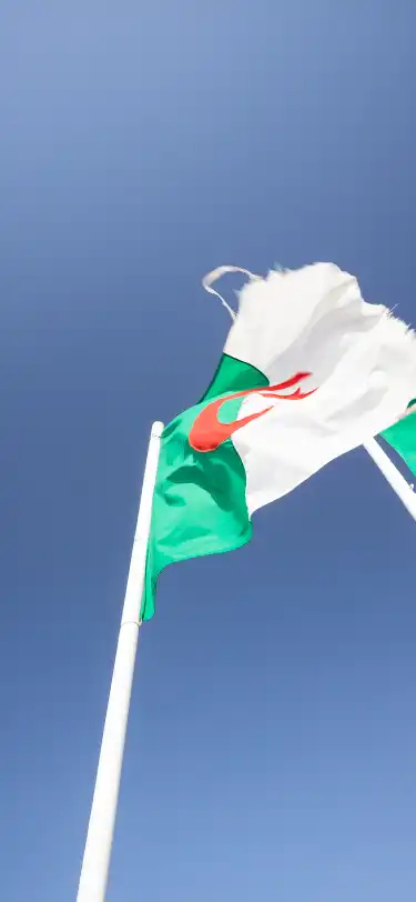 Hôtels acceptant les animaux Algérie