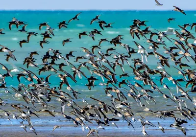 Baja California