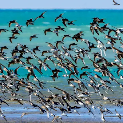 Авиабилеты Тихуана Монтеррей