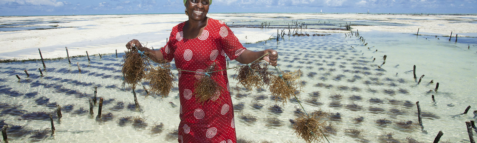 ZanzíbarExperiencias únicas