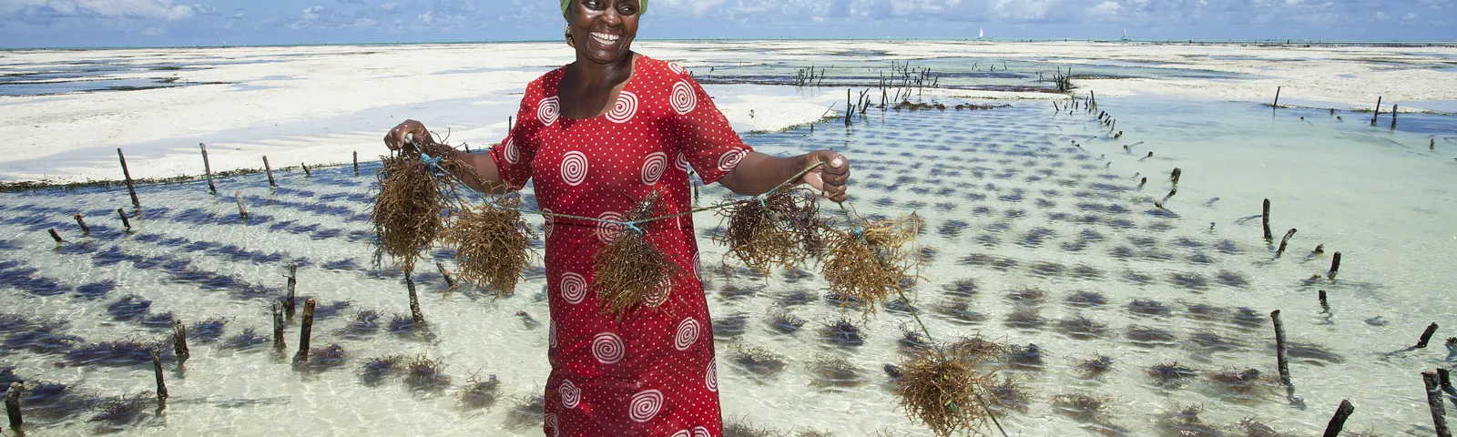 Zanzibar CityTour giornalieri