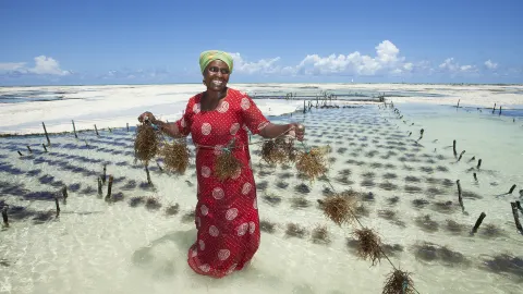 Zanzibar City travel destination
