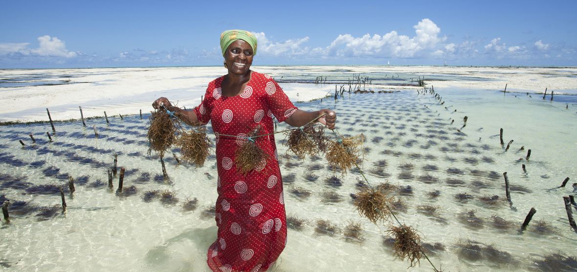 Zanzibar City Travel Guide 2026: Top Attractions, Things to do ...