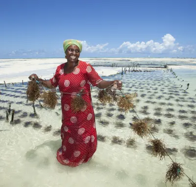 Vé máy bay Zanzibar Đảo Phú Quốc