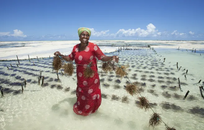 Các khách sạn ở Zanzibar