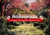 Fall Season is coming! คิดถึงญี่ปุ่น วางแพลนเที่ยวฤดูใบไม้เปลี่ยนสีกันเถอะ 🍁