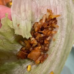 沙田18張用戶圖片