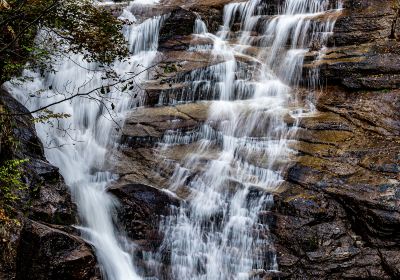 Qingling Scenic Area