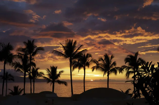 Hotels in der Nähe von Hana Tropicals