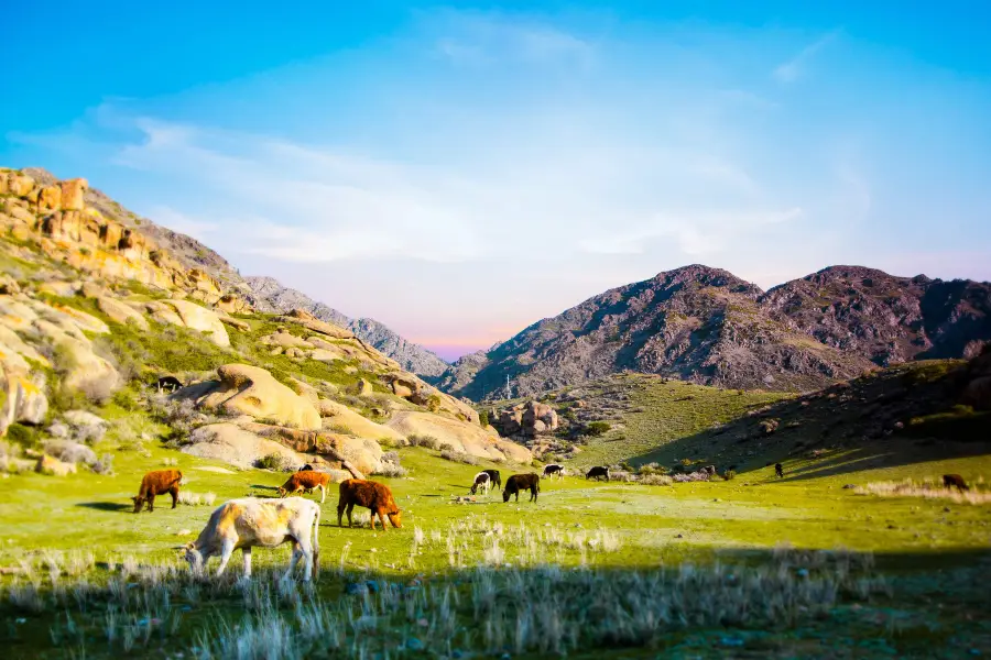 Valleys of Fantastic Rocks Scenic Area