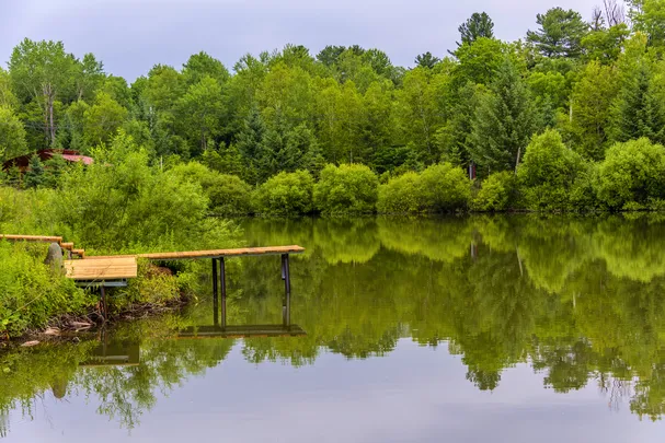 3_露水河國家森林公園