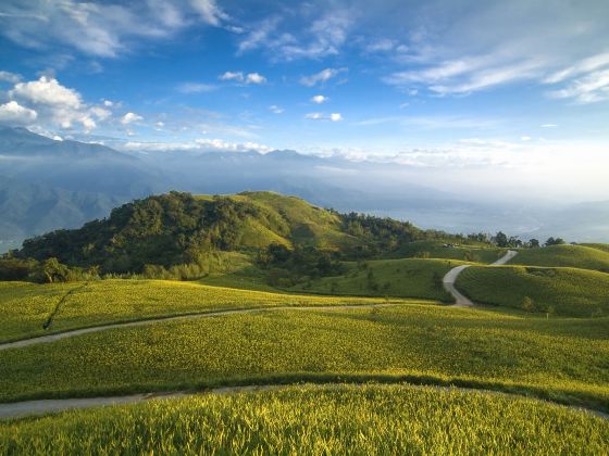 太麻里金針山