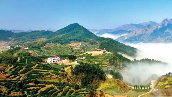 li shan cun sheng tai yuan