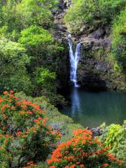 Puohokamoa Falls