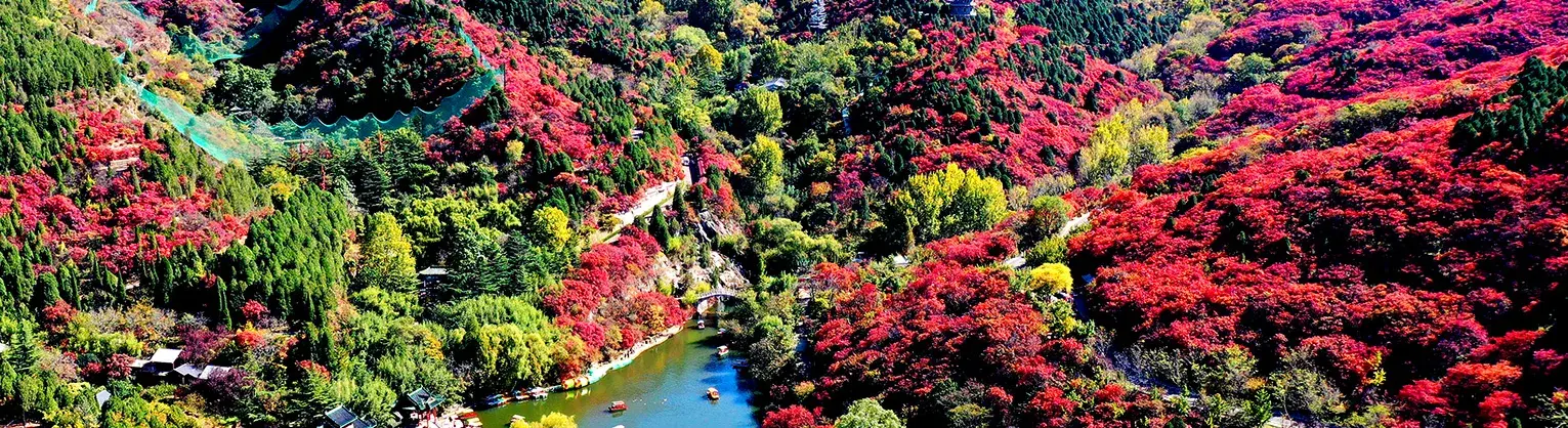 Fall Viewing Attractions