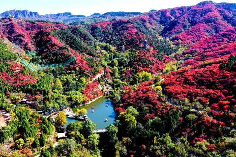 Red Leaf Valley