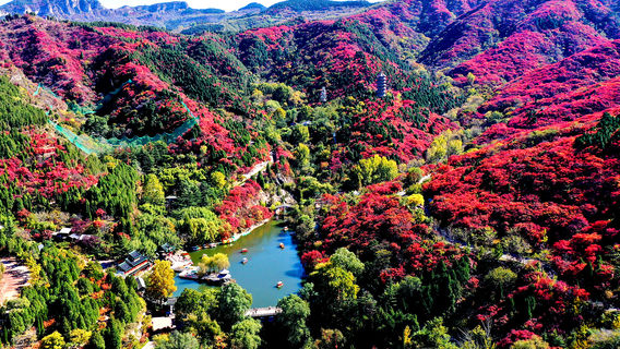 Red Leaf Valley