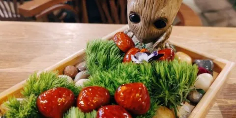 胡桃裏音樂酒館