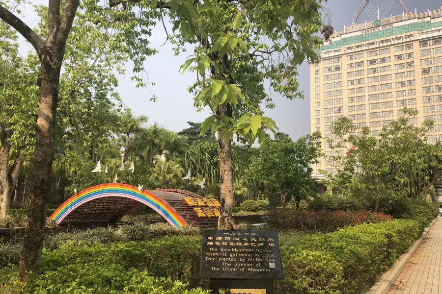 Evergreen Tree Symbolizing the Friendship between China and Myanmar