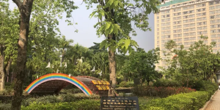 中緬友誼長青樹