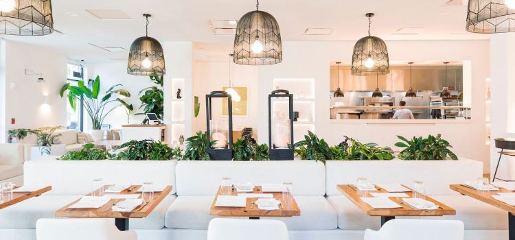 The Green House Restaurant - Wilmington
