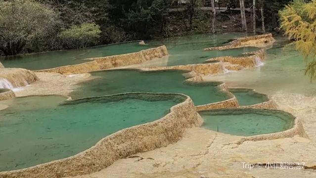 Гуан Дракон