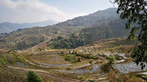 Nanuo Terraced Fields