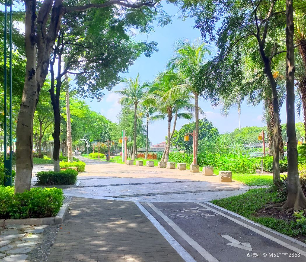 Shunlian square area