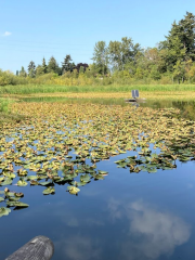 Wapato Park