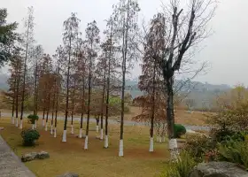 清溪濕地公園