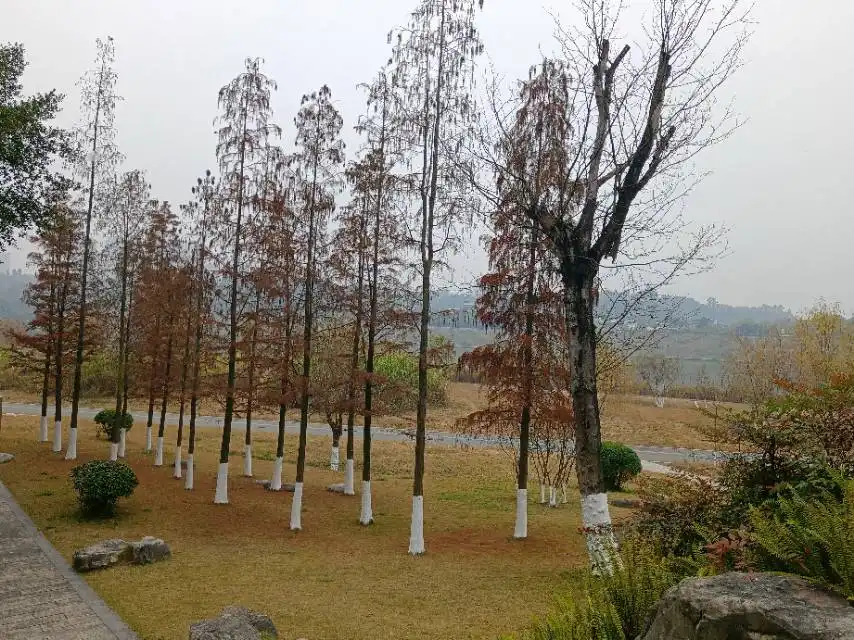 Hotels near Qingxi Wetland Park