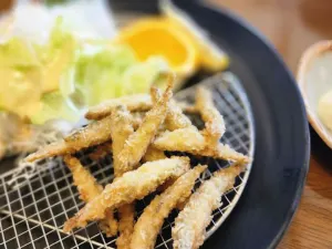 Restaurant Konami